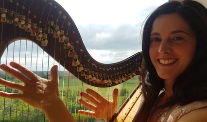 Play The Harp