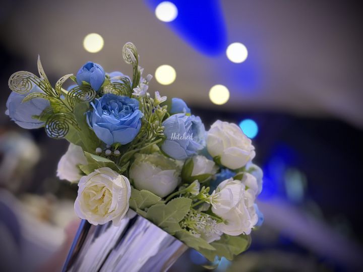 MSRPHOTOGRAPHY