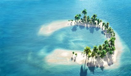 Millis Potter Travel