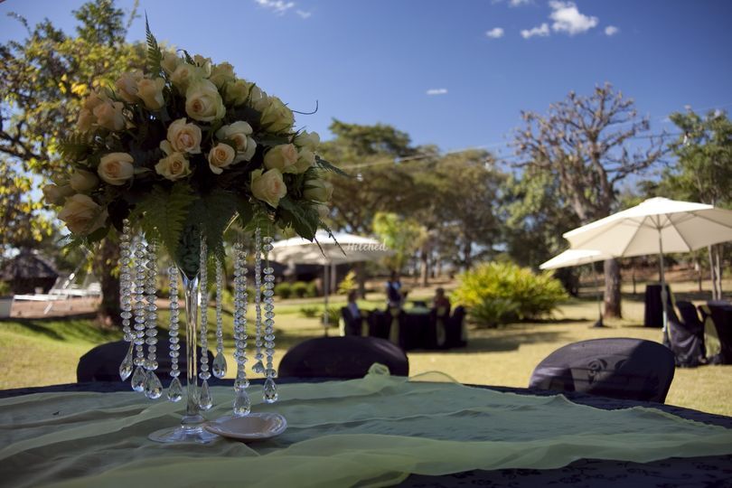Tania Lorraine Weddings