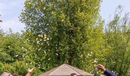 Trethek Studio Weddings