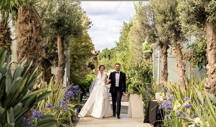 Architectural Plants