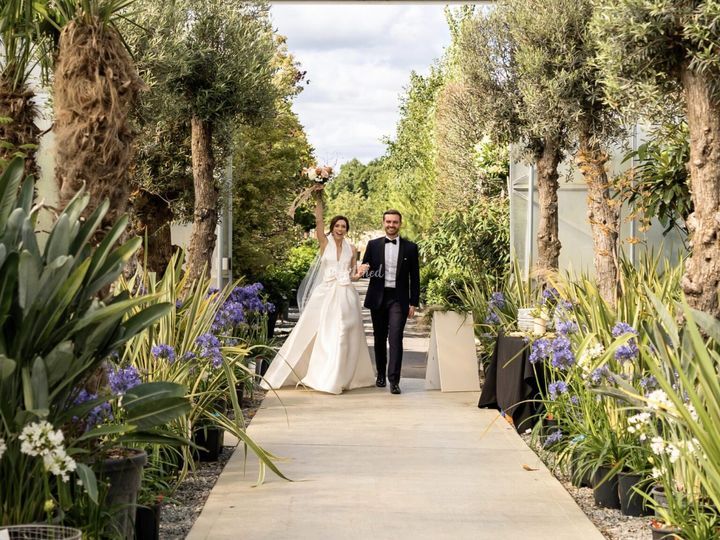 Architectural Plants