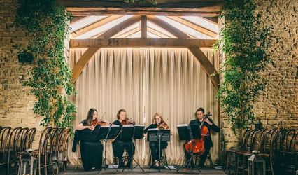The Vyne String Quartet, Trio or Duo