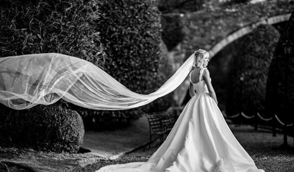 Alan Snelling Photography