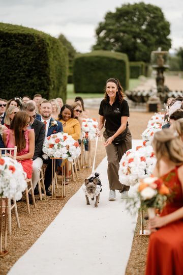 The Eventful Pup - Wedding Dog Chaperone