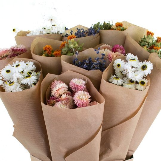 Atlas Flowers Ltd