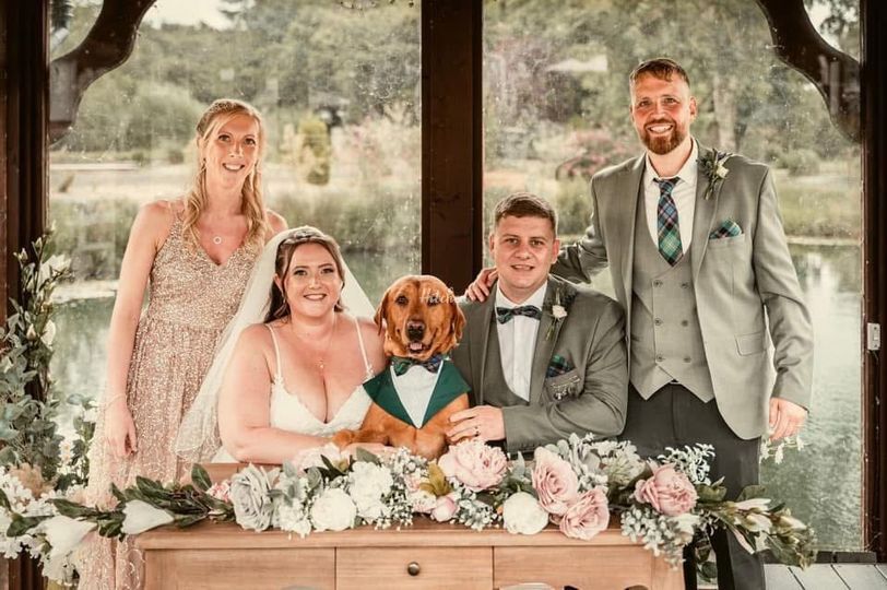 Wags & Weddings 