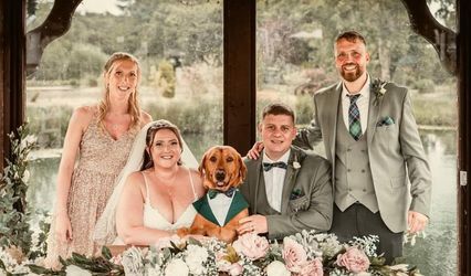 Wags & Weddings 