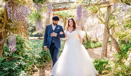 Purple Kite Photography