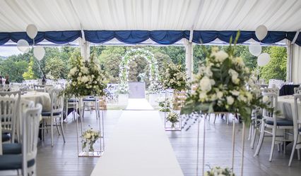 The View - Lavender Field