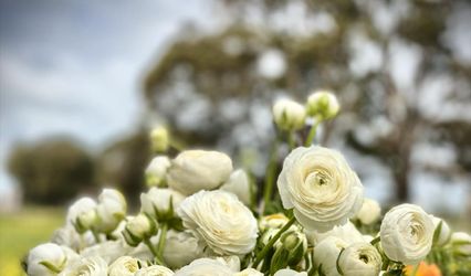 Moorfield Farm Flowers