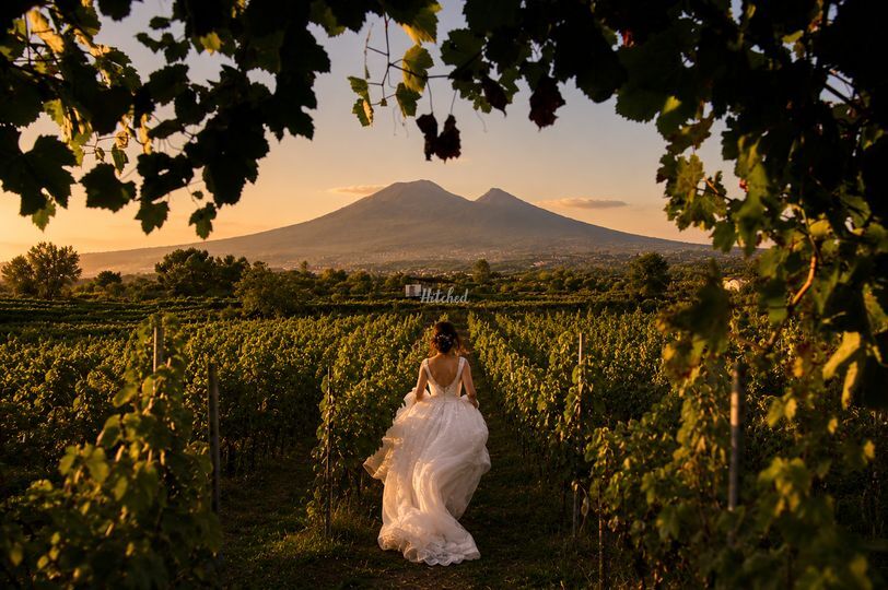 Tenuta Sorrentino Vesuvio
