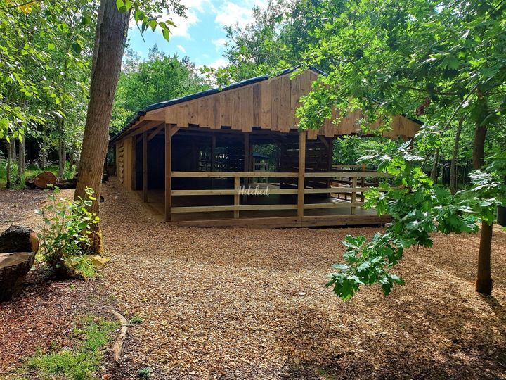 Endeavour - Woodland Venue