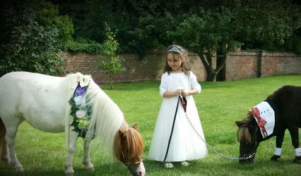 Twinkletoes Ponies