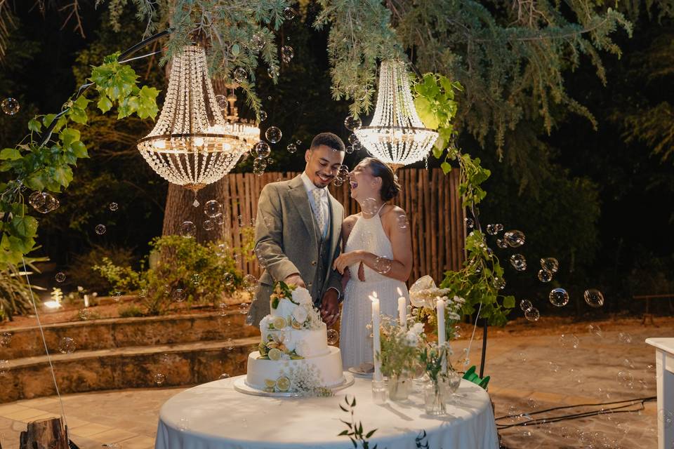 Alexander & Emily's wedding
