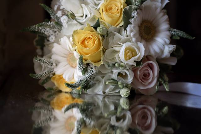 Kelly & Ashley's wedding 2