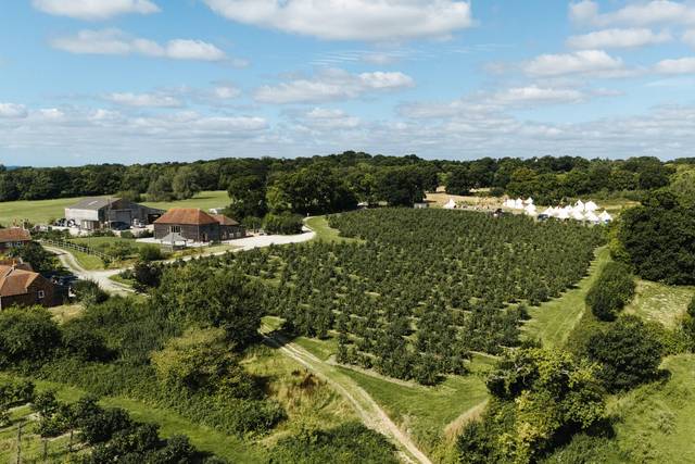 Emily & Rob's wedding 3