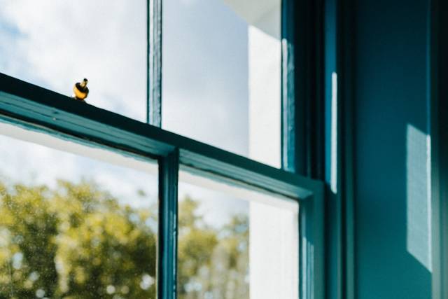 Dawn & Ashley's wedding 3