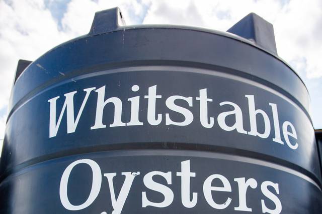 Lucy & Phillip's wedding 1