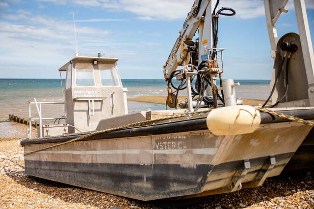 Lucy & Phillip's wedding 3