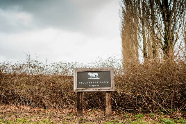 Joe & Mat's wedding 3