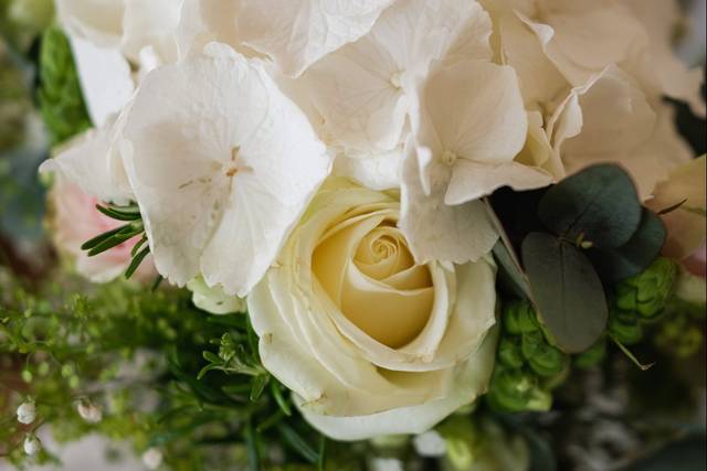 Louise & Evian's wedding 2