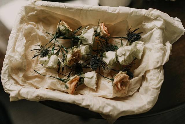 Anna & Ollie's wedding 1