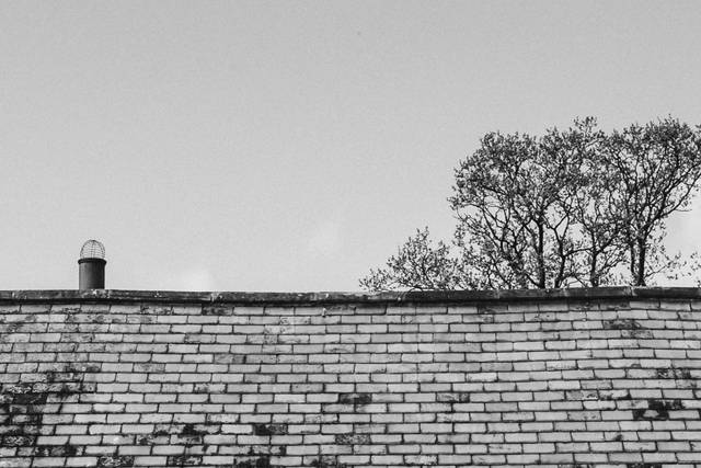 Natalie & Jack's wedding 1