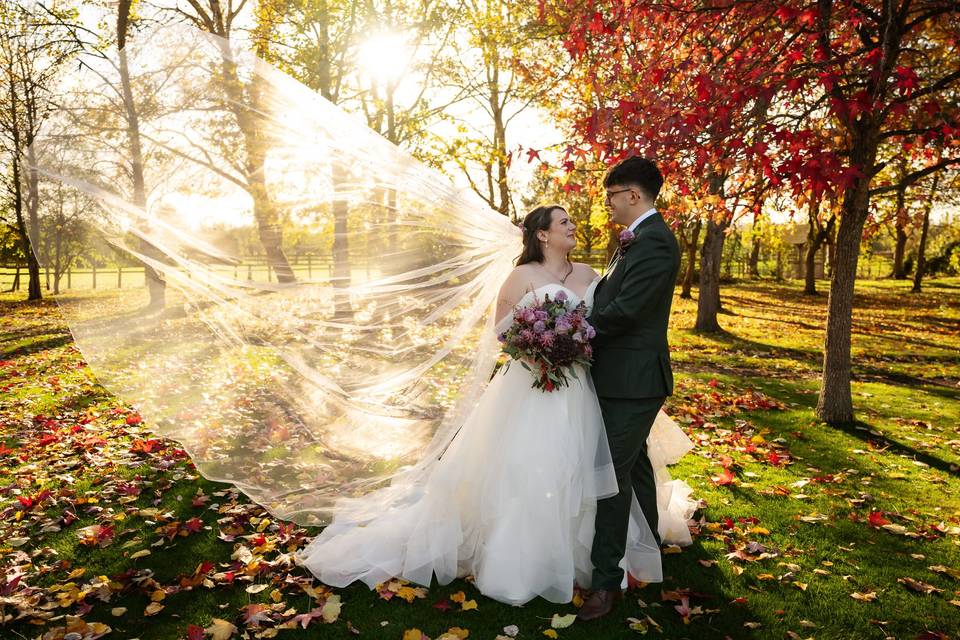 Kathryn & Kieran's wedding