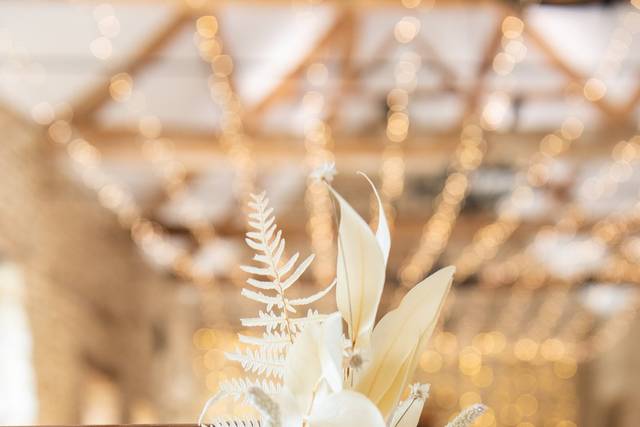 Wendy Aldiss Photography 3