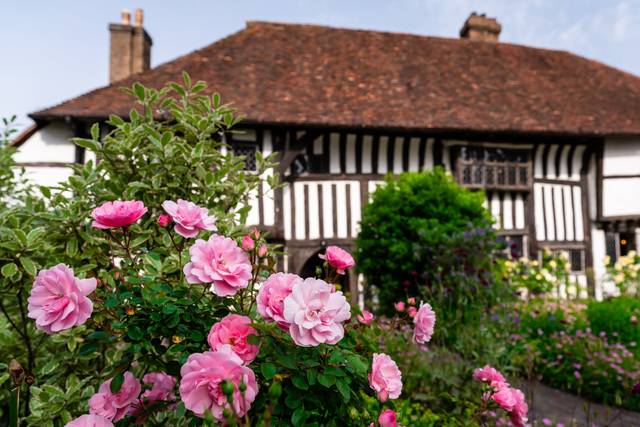 Jie & Freddie's wedding 1