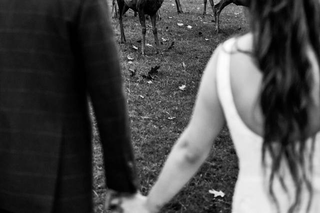 Danielle & Harry's wedding 1