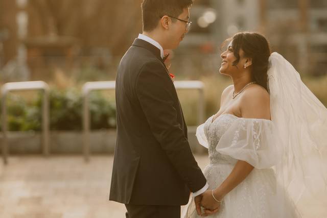 Snehal & Ken's wedding 3