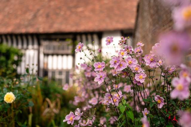 Nadia & David's wedding 1