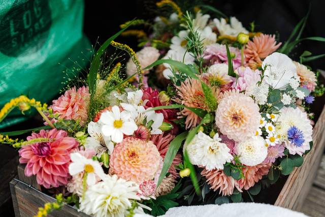 Eliza & Edward's wedding 2
