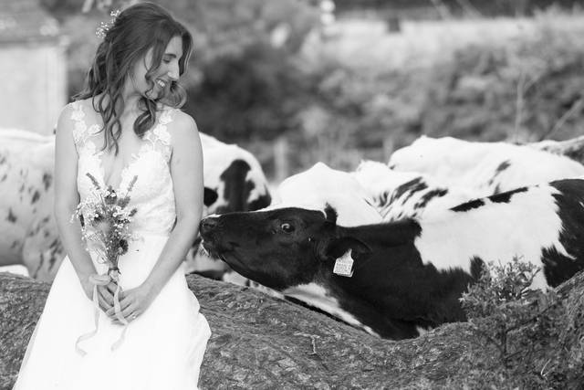 anna & stuart's wedding 1