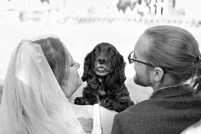 robyn & callum's wedding 1