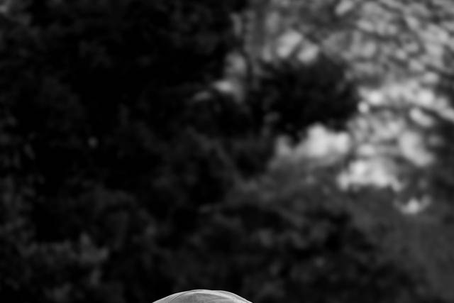 Sarah & Richard's wedding 2