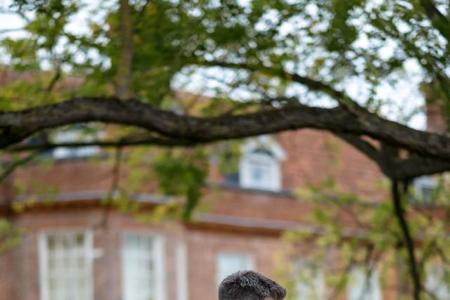 Matthew & Lauren's wedding 2