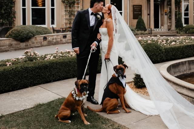 Teodora  & Greg's wedding 2