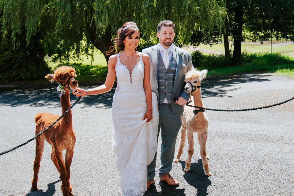 Lauren & Josh's wedding
