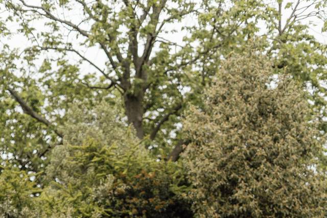 Ella & Toby's wedding 1