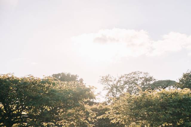 Lucy & Michael's wedding 2