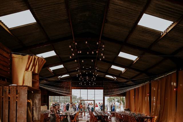 Debbie McGregor Photography 3