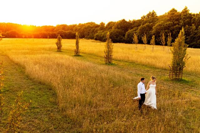 Emily & Steve's wedding 2