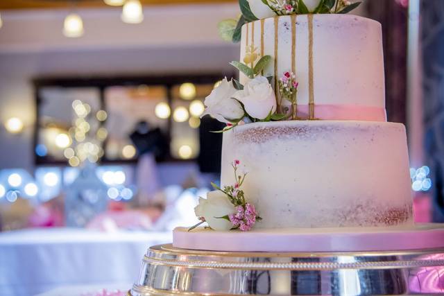 Elliot & Sam's wedding 2