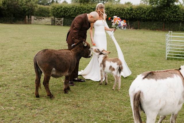 Katie & Dan's wedding 3