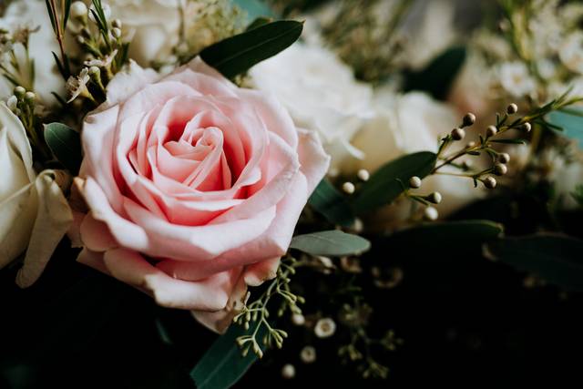 Sophie & Samuel's wedding 1