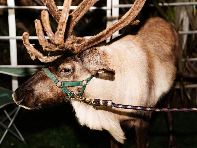 Josh and Laura's Wedding in Moreton, Merseyside 11